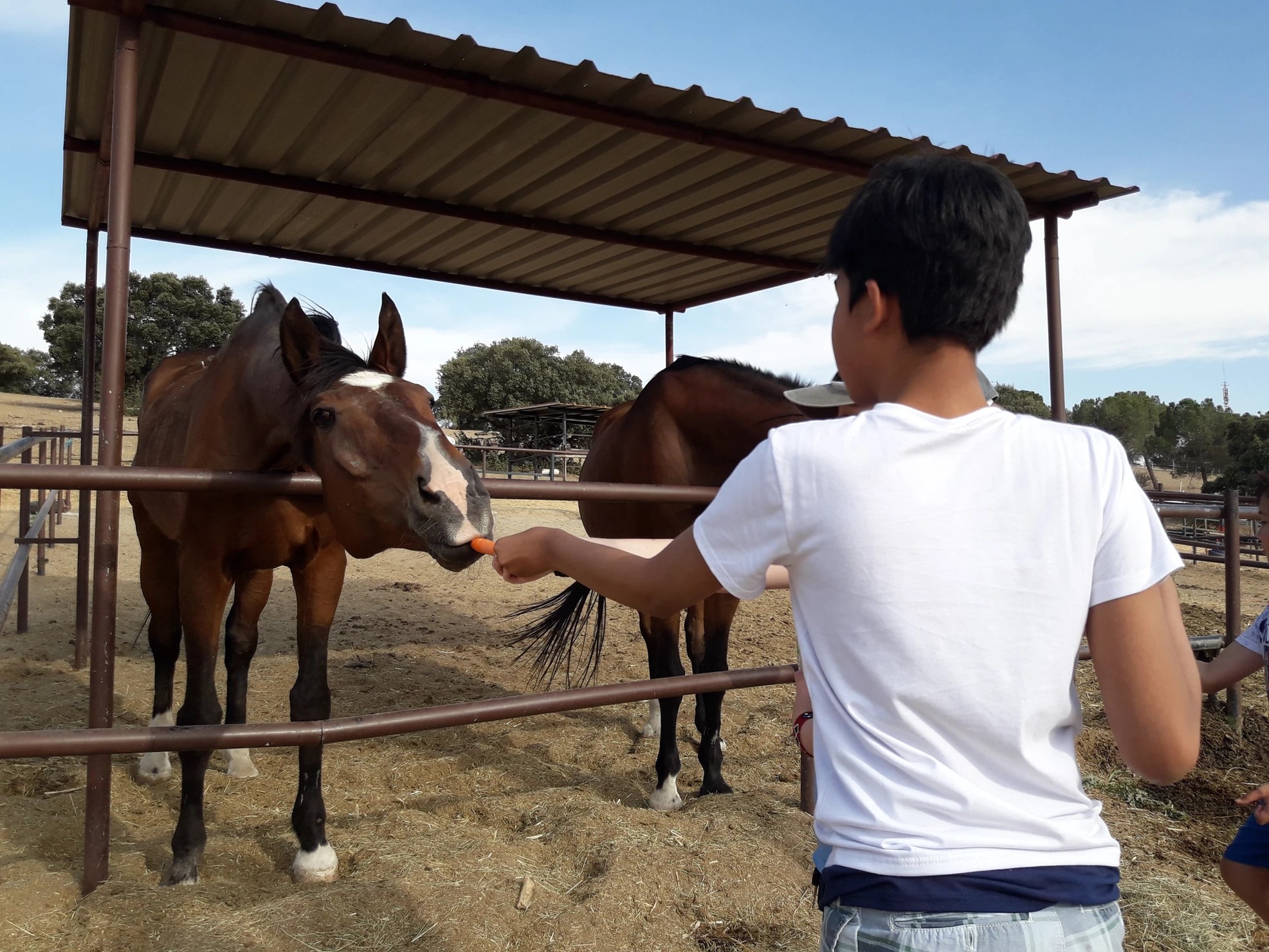 Actividad para niños con TEA