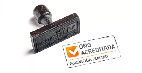 Tengo Hogar fortalece su compromiso con la transparencia y la excelencia con la renovación del sello de Fundación Lealtad y la obtención del certificado efr