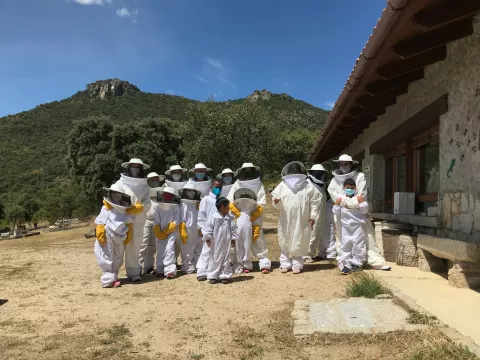 Visita al Aula apícola Sierra de Hoyo